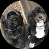 heidi_checkoff